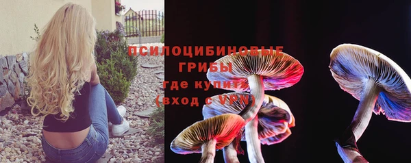 первитин Алексин