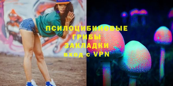 стафф Коряжма