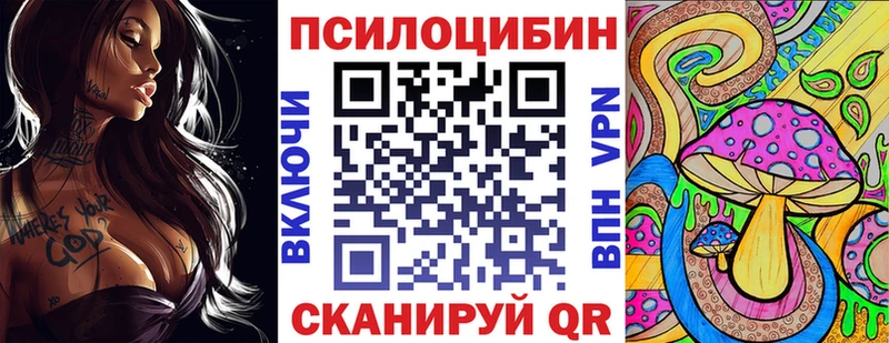 Псилоцибиновые грибы Cubensis  купить   Брянск 